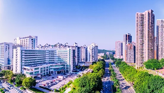 深圳市龙岗区人民医院